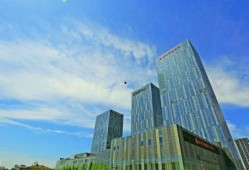 青岛农商行最新爆料,揭秘业务创新与风险管控新动向